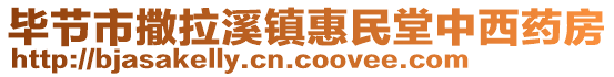 畢節市撒拉溪鎮惠民堂中西藥房