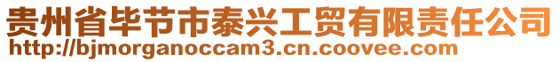 貴州省畢節市泰興工貿有限責任公司
