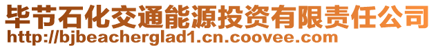 畢節(jié)石化交通能源投資有限責任公司