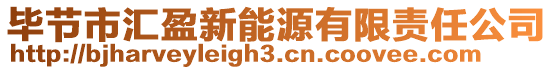 畢節市匯盈新能源有限責任公司
