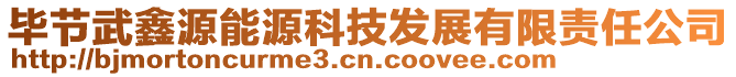 畢節(jié)武鑫源能源科技發(fā)展有限責(zé)任公司