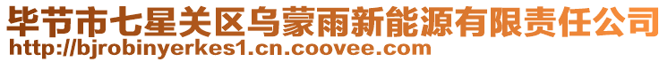 畢節市七星關區烏蒙雨新能源有限責任公司