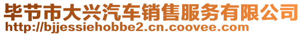 畢節(jié)市大興汽車銷售服務(wù)有限公司