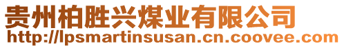 貴州柏勝興煤業(yè)有限公司