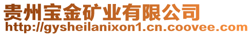 貴州寶金礦業(yè)有限公司