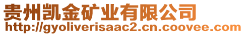 貴州凱金礦業(yè)有限公司