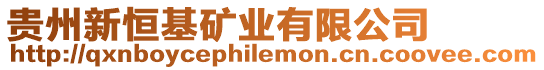 貴州新恒基礦業有限公司