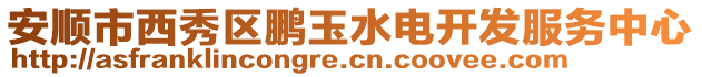 安順市西秀區(qū)鵬玉水電開發(fā)服務(wù)中心