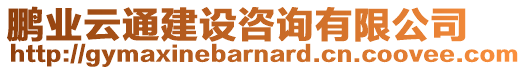 鵬業(yè)云通建設(shè)咨詢有限公司