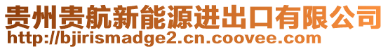 貴州貴航新能源進出口有限公司