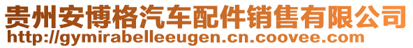 貴州安博格汽車配件銷售有限公司