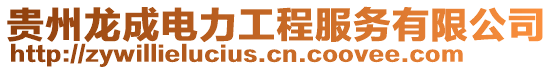貴州龍成電力工程服務有限公司