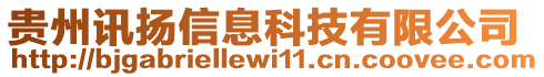 貴州訊揚(yáng)信息科技有限公司