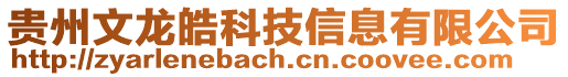 貴州文龍皓科技信息有限公司