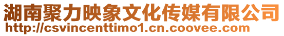 湖南聚力映象文化傳媒有限公司