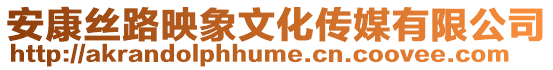 安康絲路映象文化傳媒有限公司