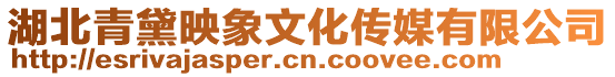 湖北青黛映象文化傳媒有限公司