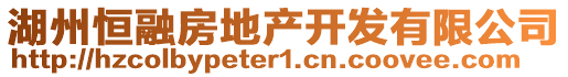 湖州恒融房地產(chǎn)開(kāi)發(fā)有限公司