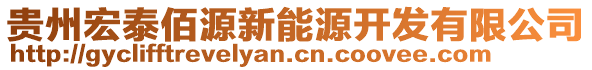 貴州宏泰佰源新能源開發(fā)有限公司