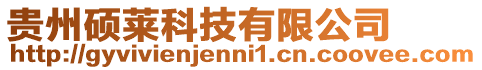 貴州碩萊科技有限公司