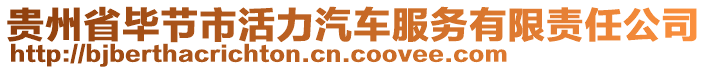 貴州省畢節(jié)市活力汽車服務(wù)有限責(zé)任公司