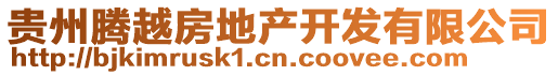 貴州騰越房地產(chǎn)開發(fā)有限公司