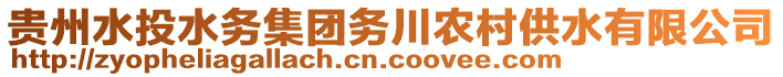 貴州水投水務(wù)集團(tuán)務(wù)川農(nóng)村供水有限公司