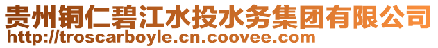 貴州銅仁碧江水投水務(wù)集團(tuán)有限公司