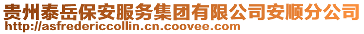 貴州泰岳保安服務集團有限公司安順分公司