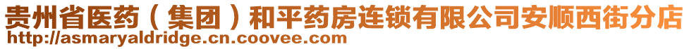 貴州省醫藥(集團)和平藥房連鎖有限公司安順西街分店