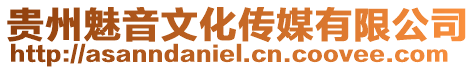 貴州魅音文化傳媒有限公司