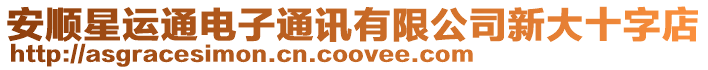 安順星運(yùn)通電子通訊有限公司新大十字店