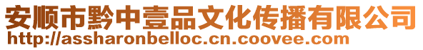 安順市黔中壹品文化傳播有限公司