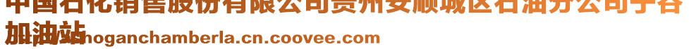 中國石化銷售股份有限公司貴州安順城區石油分公司寧谷
加油站