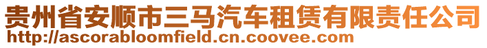 貴州省安順市三馬汽車租賃有限責(zé)任公司