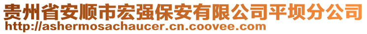 貴州省安順市宏強(qiáng)保安有限公司平壩分公司