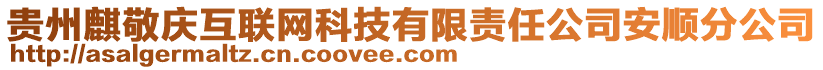 貴州麒敬慶互聯(lián)網(wǎng)科技有限責(zé)任公司安順分公司