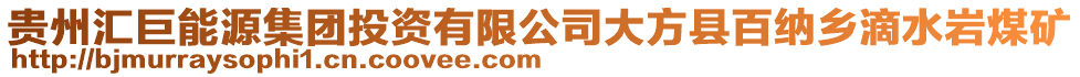貴州匯巨能源集團投資有限公司大方縣百納鄉滴水巖煤礦