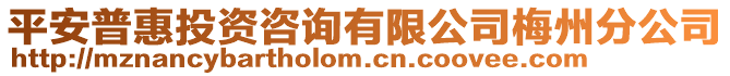 平安普惠投資咨詢有限公司梅州分公司