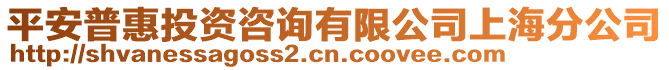 平安普惠投資咨詢有限公司上海分公司