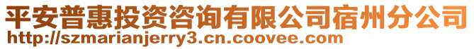 平安普惠投資咨詢有限公司宿州分公司