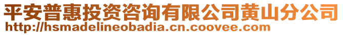 平安普惠投資咨詢有限公司黃山分公司