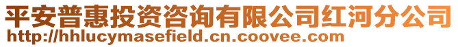 平安普惠投資咨詢有限公司紅河分公司