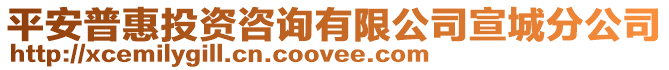 平安普惠投資咨詢有限公司宣城分公司