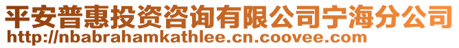 平安普惠投資咨詢有限公司寧海分公司