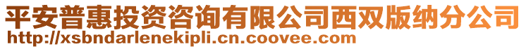 平安普惠投資咨詢有限公司西雙版納分公司