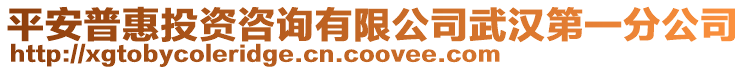 平安普惠投資咨詢有限公司武漢第一分公司