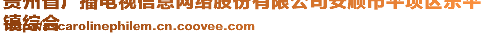 貴州省廣播電視信息網(wǎng)絡(luò)股份有限公司安順市平壩區(qū)樂平
鎮(zhèn)綜合