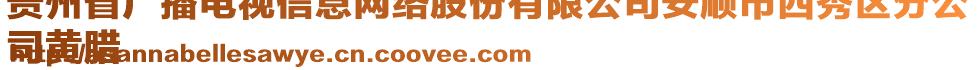 貴州省廣播電視信息網(wǎng)絡(luò)股份有限公司安順市西秀區(qū)分公
司黃臘