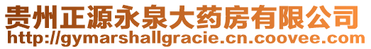 貴州正源永泉大藥房有限公司